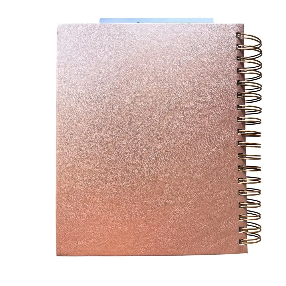Clever Fox Budget Planner Bill Organizer Rose Gold Undated Finance